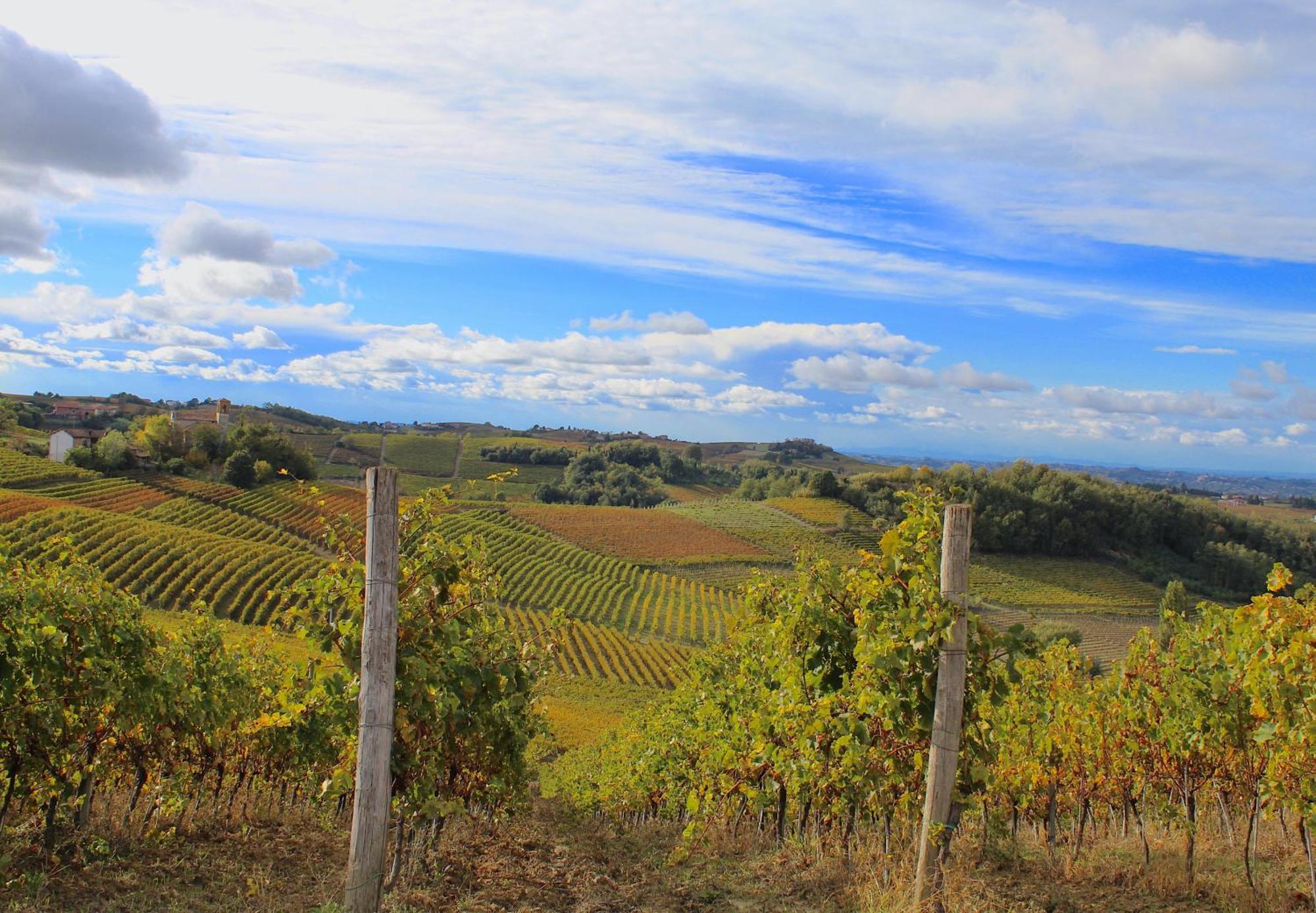 Вілла Amazing Langhe And Monferrato | House With Garden Calamandrana Екстер'єр фото